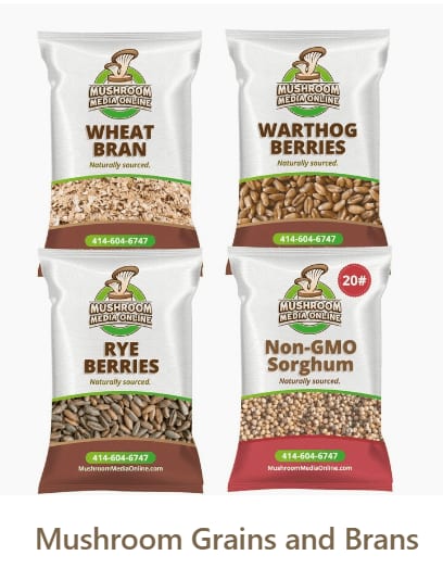 Grains Mushroom Media Online Graphics